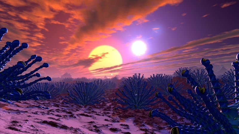 Microbial Extraterrestrial Life